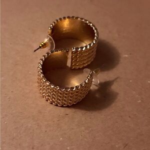 Elegant Gold Hoop Earrings